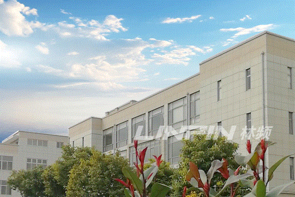 什么是代賬公司